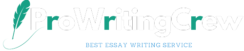 Essay Admin